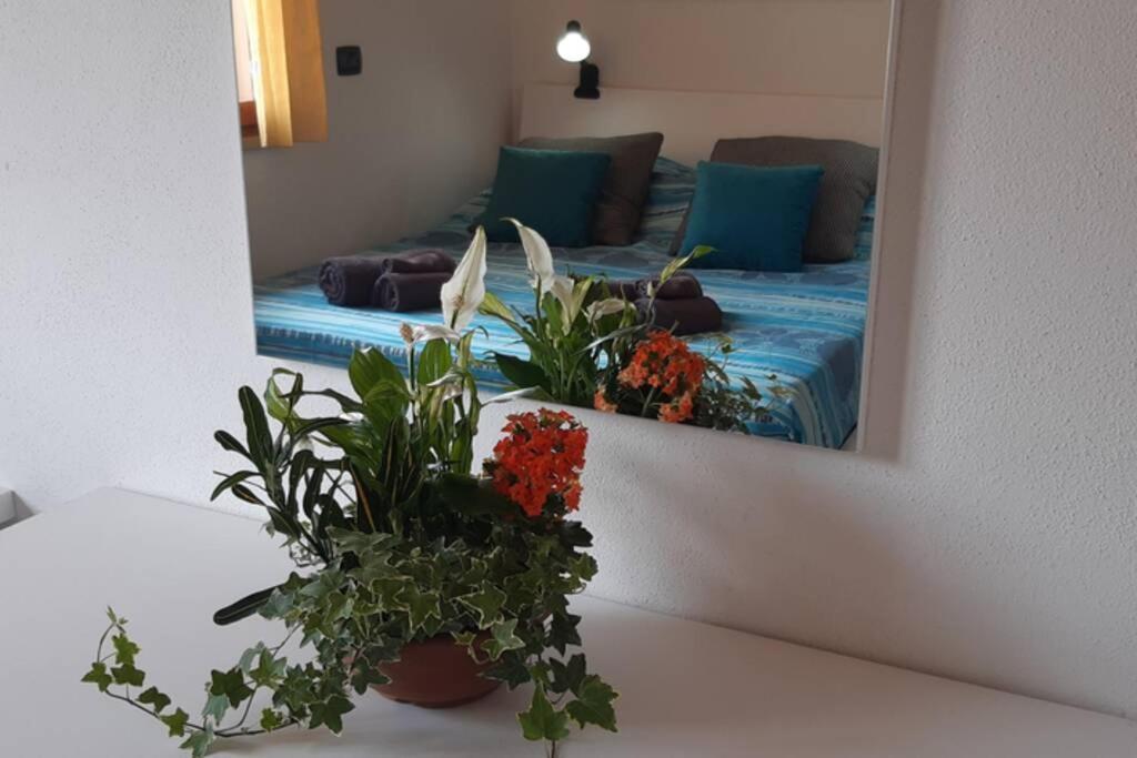 Casa Cao Appartamento "L'Ulivo" Nurachi Exteriör bild